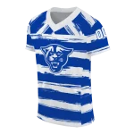 customized georgia state panthers art stripe blue jersey best selling