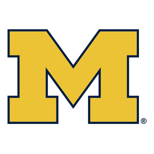 Michigan Wolverines Jerseys