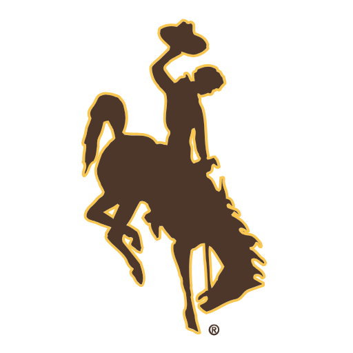 Wyoming Cowboys Jerseys